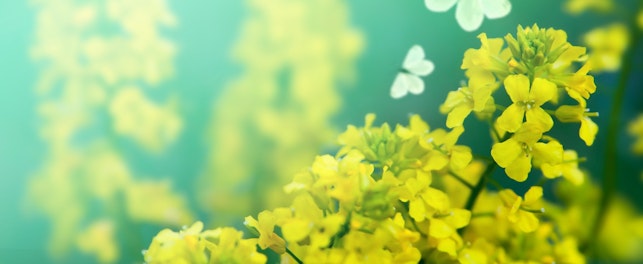 Już 18 listopada gotowe będą cztery poradniki komunikacyjne do realizacji celów klimatycznych.